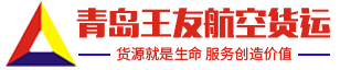 国内空运logo